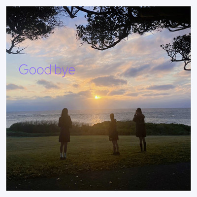 Good bye Front Cover