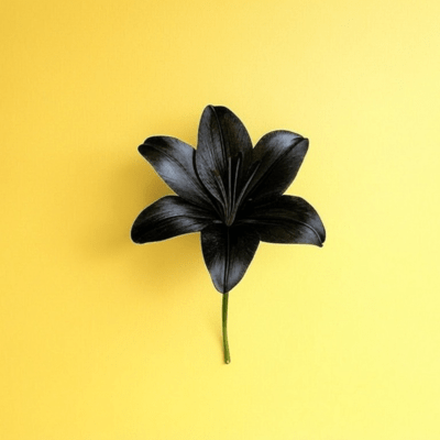 Like You Didのジャケット写真