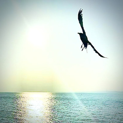 Neverending Love Front Cover