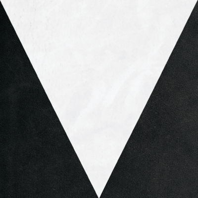 VNLGRL Front Cover