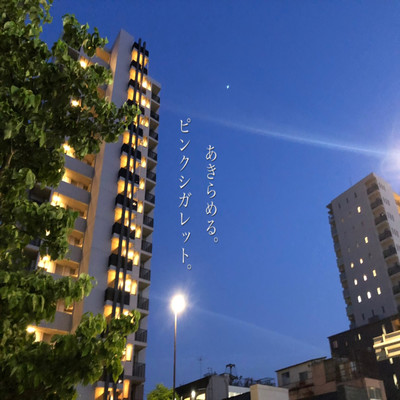 あきらめる。のジャケット写真