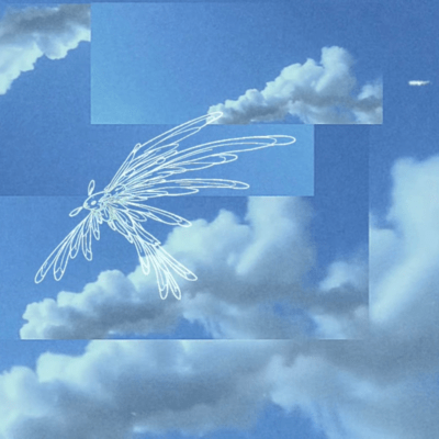 skycrawlのジャケット写真