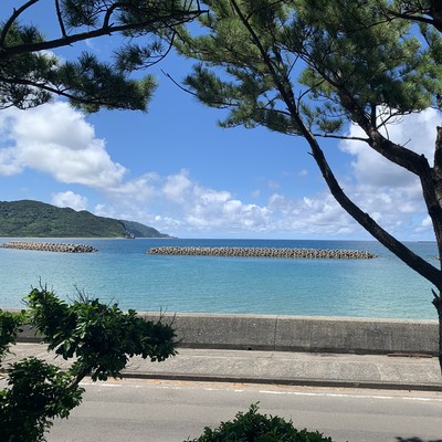 光のジャケット写真