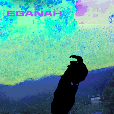 Deception Dance Front Cover