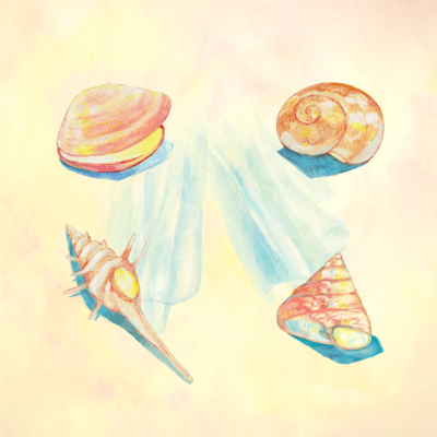 Twilight Front Cover