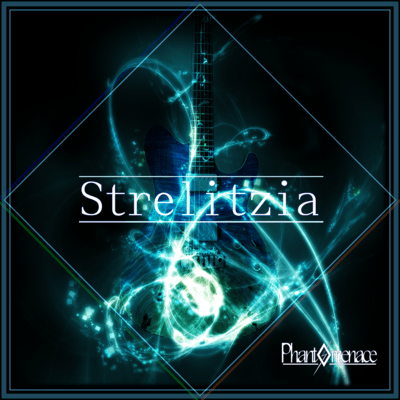 Strelitzia Front Cover