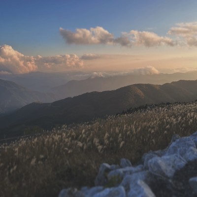 demo tape Front Cover