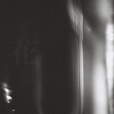 花のジャケット写真