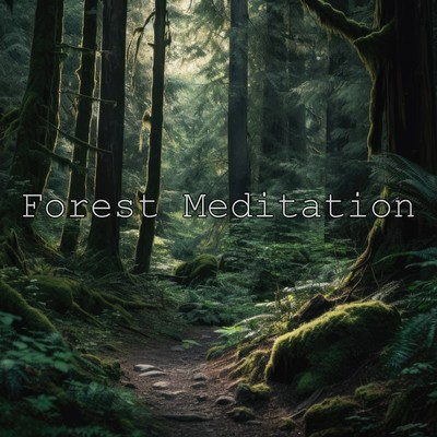 Forest Meditation 森の音楽 瞑想用 睡眠用 ヒーリングリラックスINSTのジャケット写真