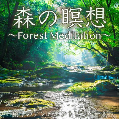 Forest Meditation -Forest Medition -Healing Ambient Piano Music Sleep Sleep Relax BGM Front Cover
