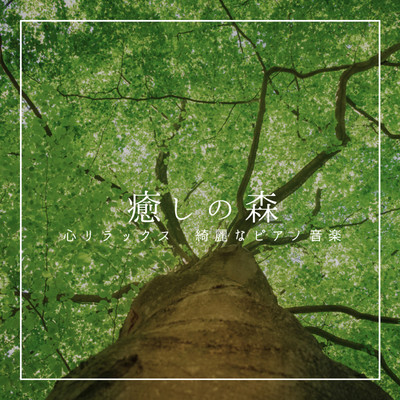 Healing forest Relax your mind Beautiful piano music Healing experience like being in the forest Night meditation Sleep inducing BGM Front Cover