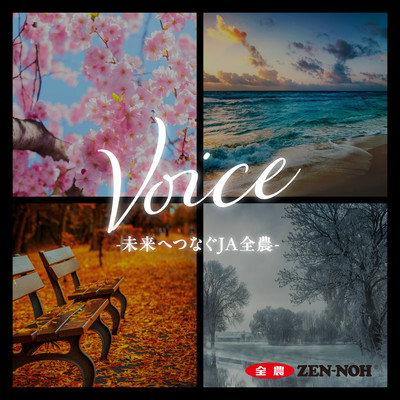 Voice Front Cover
