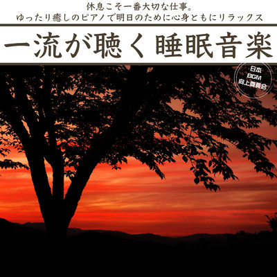 一流が聴く睡眠音楽 休息こそ一番大切な仕事。ゆったり癒しのピアノで明日のために心身ともにリラックスのジャケット写真