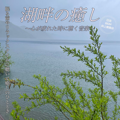 Healing by the Lakeside - Music to Listen to When Your Heart is Weary - Relaxing Moments Before Sleeping to Soothe Your Soul Front Cover