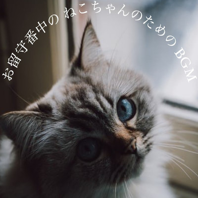 BGM for the cat on the answering machine Front Cover