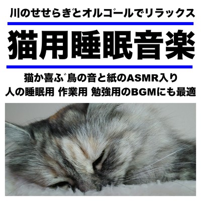 川のせせらぎとオルゴールでリラックス 猫用睡眠音楽 猫が喜ぶ 鳥の音と紙のASMR入り 人の睡眠用 作業用 勉強用のBGMにも最適のジャケット写真