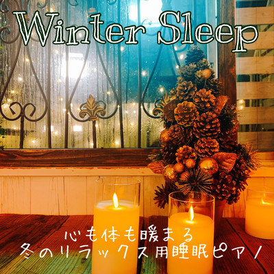 WNITER SLEEP Warm Body warms Warm Winter sleeping sleep piano night work, reading, night cafe music room Healing Music Sleeping Spa Music for Sleeping Front Cover
