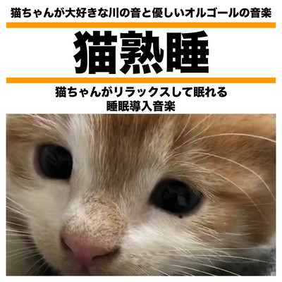 Cat Sound Sleep: Cat's favorite sound of river and gentle music box music Sleep inducing music for cats to relax and sleep Front Cover
