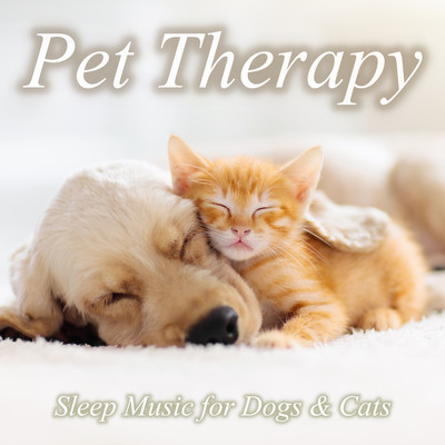 PET THERAPY SLEEP MUSIC for Dogs & Cats River sound, forest sound, bird's slips and healing music box, dog sleeping music for dogs. Front Cover