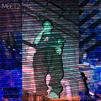 CYCLIC INTROSPECTIONのジャケット写真