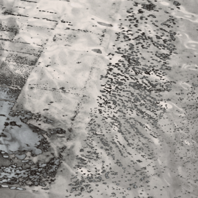 Holographic Thornsのジャケット写真