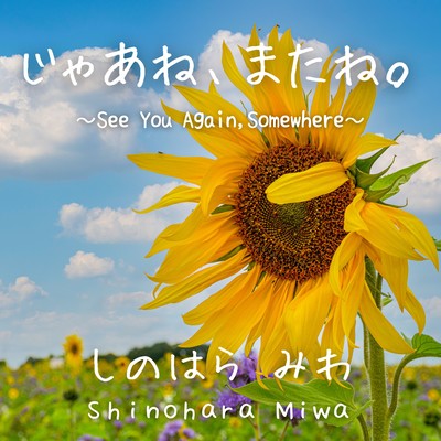 See You Again, Somewhere Front Cover