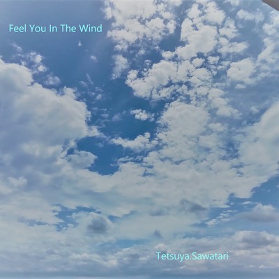 Feel You In The Wind Front Cover