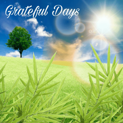 Grateful Days (feat. L-mashingan) Front Cover