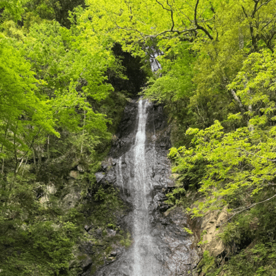 Ascension Front Cover