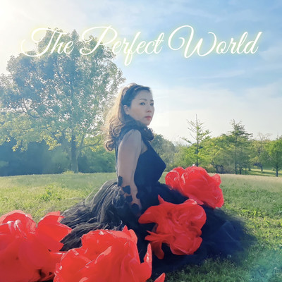 The Perfect World Front Cover