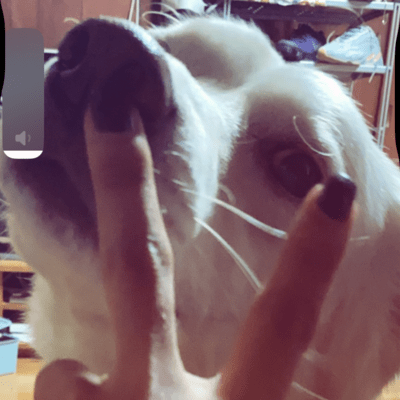 Thursdayのジャケット写真