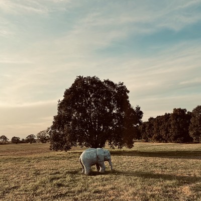 A Minor Place #1 Front Cover