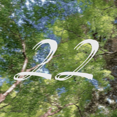 22のジャケット写真