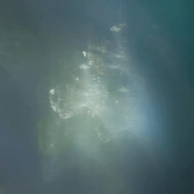 Quiet Spring Front Cover