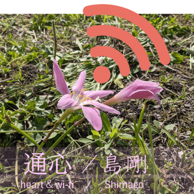 heart & wi-fi Front Cover