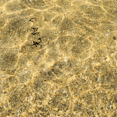 光狩りのジャケット写真