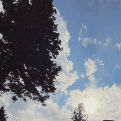 Aloneのジャケット写真