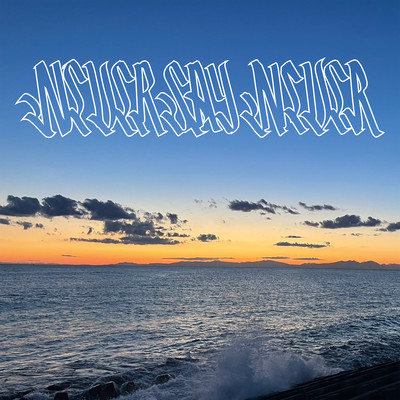 NEVER SAY NEVER Front Cover