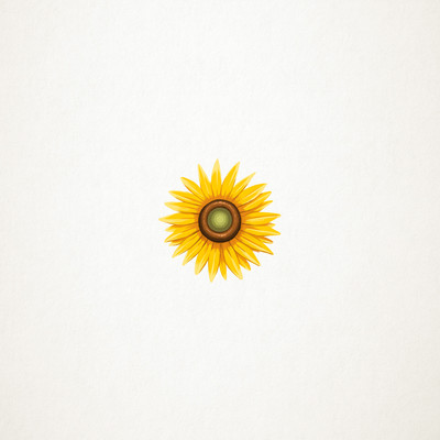 KOKONI Front Cover