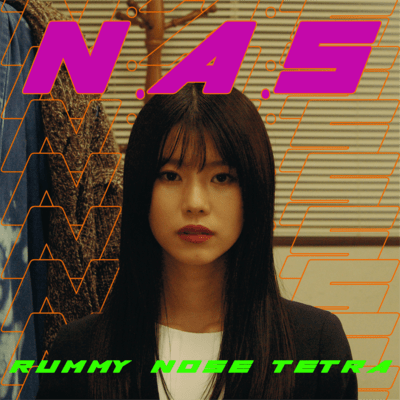 N.A.S Front Cover