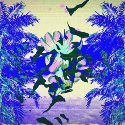 I god a bug Front Cover