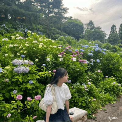 未経験のジャケット写真