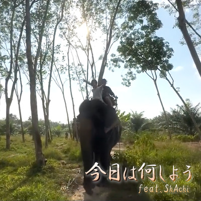 今日は何しよう (feat. SyAchi)のジャケット写真