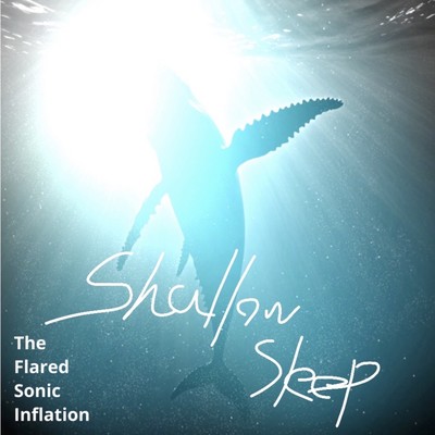 Shallow Sleep Front Cover