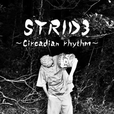 STRID3のジャケット写真