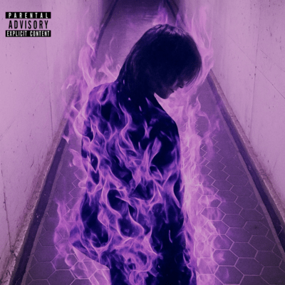 Purple Flame Front Cover