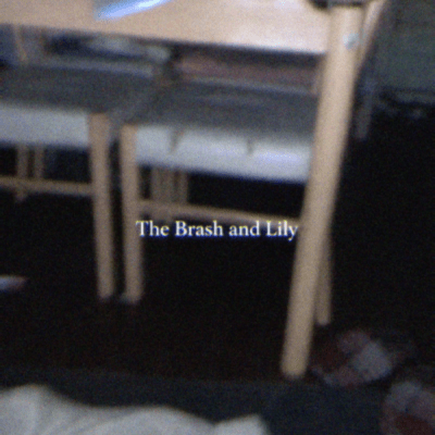 Stray box Front Cover