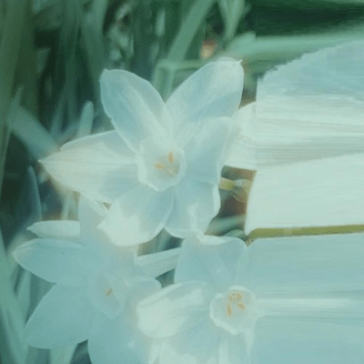 waypoint Front Cover