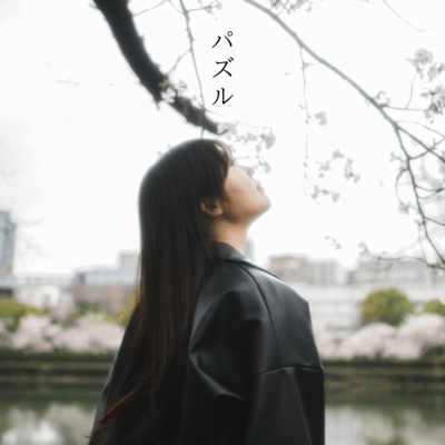Puzzle Front Cover