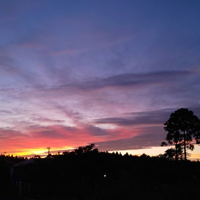 reminiscence Front Cover